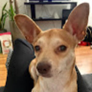 Meet your Posher, Jacklyn